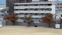 図書室からの景色