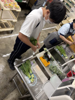 葉野菜を袋詰めする様子