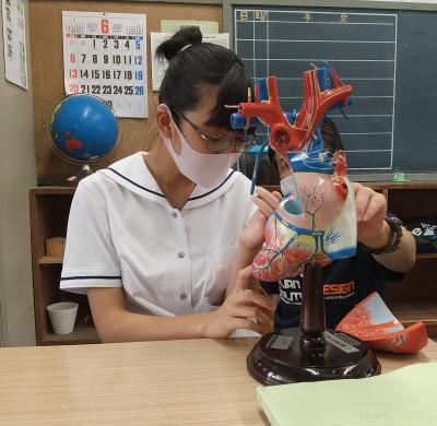 模型を触る様子Ⅰ 模型を触る様子Ⅰ