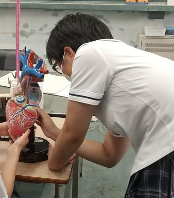 模型を触る様子Ⅱ 模型を触る様子Ⅱ