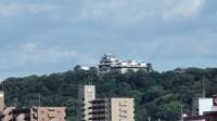 見上げた松山城 見上げた松山城