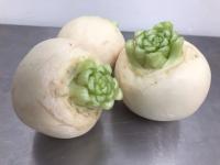 かぶ かぶ