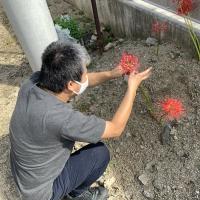 花を触察 花を触察