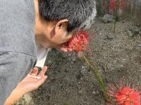 花の匂いを嗅ぐ