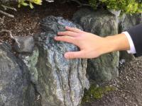 片岩をさわって確認している写真 片岩をさわって確認している写真