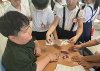 みどり小学校の児童としおりを交換して触り合う本校児童 みどり小学校の児童としおりを交換して触り合う本校児童