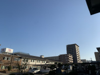 IMG_7545