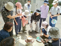 塩が入った鍋を覗き込んでいるところ