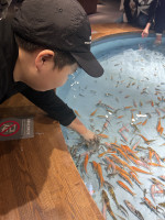 ドクターフィッシュの水槽に手を入れる児童